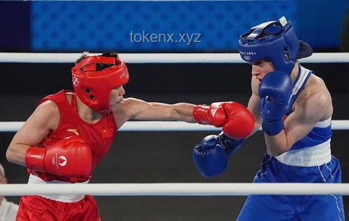 手搓20米体感机械拳：科技创意与拳击趣味的碰撞！手搓机械臂,拳击比赛,机械臂力量,创意科技,惊喜挑战